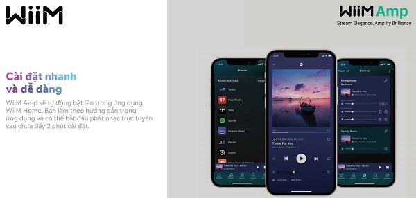 Lợi Ích Khi Mua WiiM Amp Tại 769 Audio