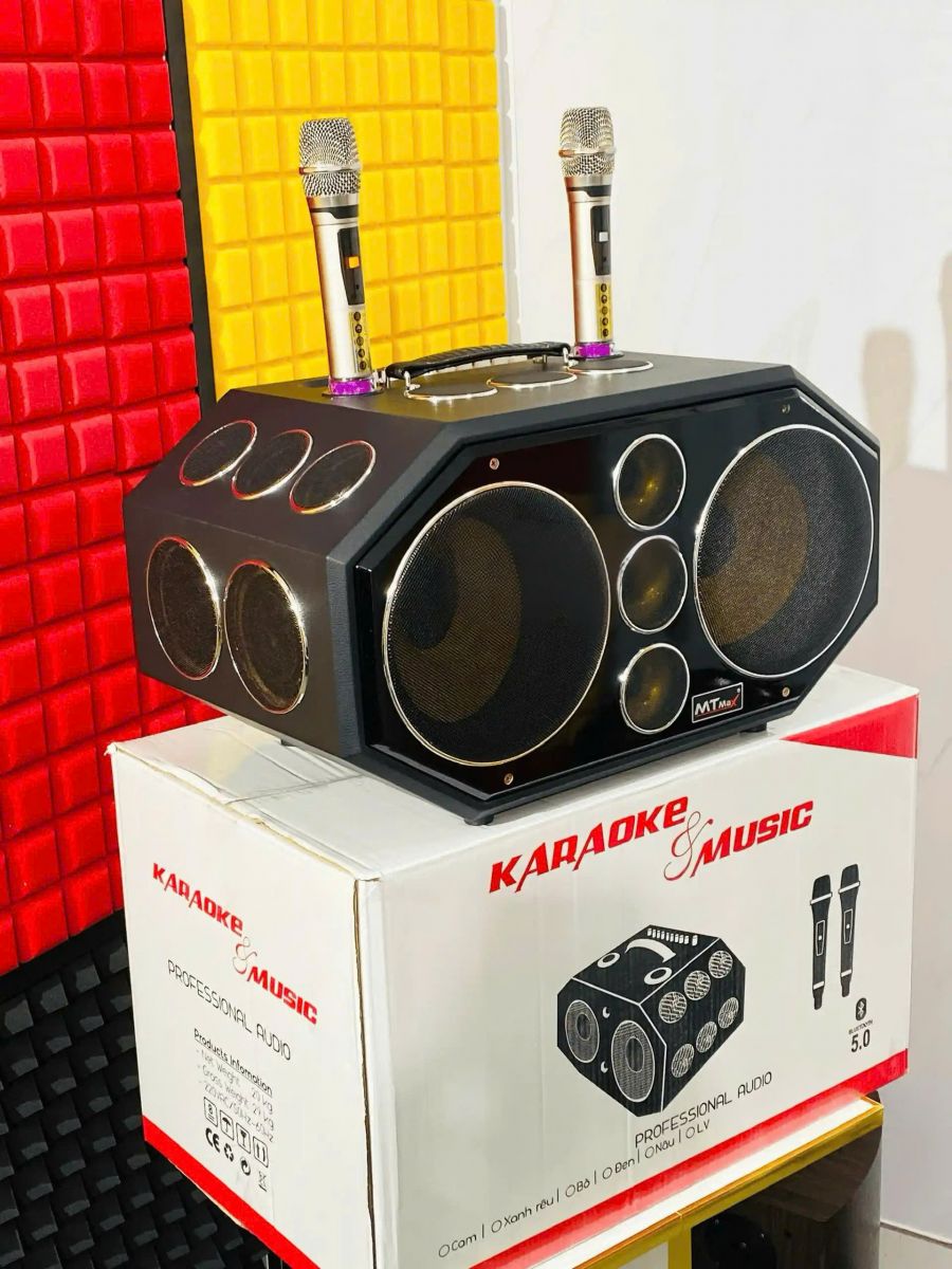 Chức năng echo và reverb trên loa kéo karaoke là gì?