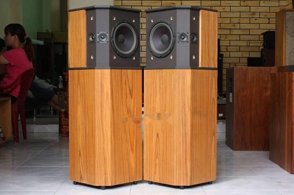 Loa Bose Cột Loa Đứng Mua Ở Đâu