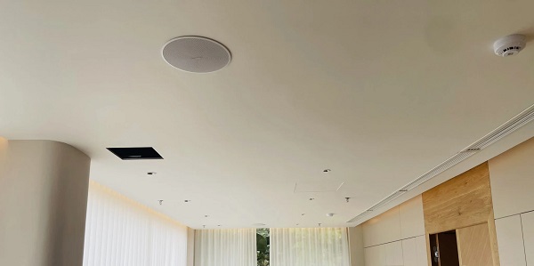 Loa Bose Cho Spa Gía Rẻ.jpg