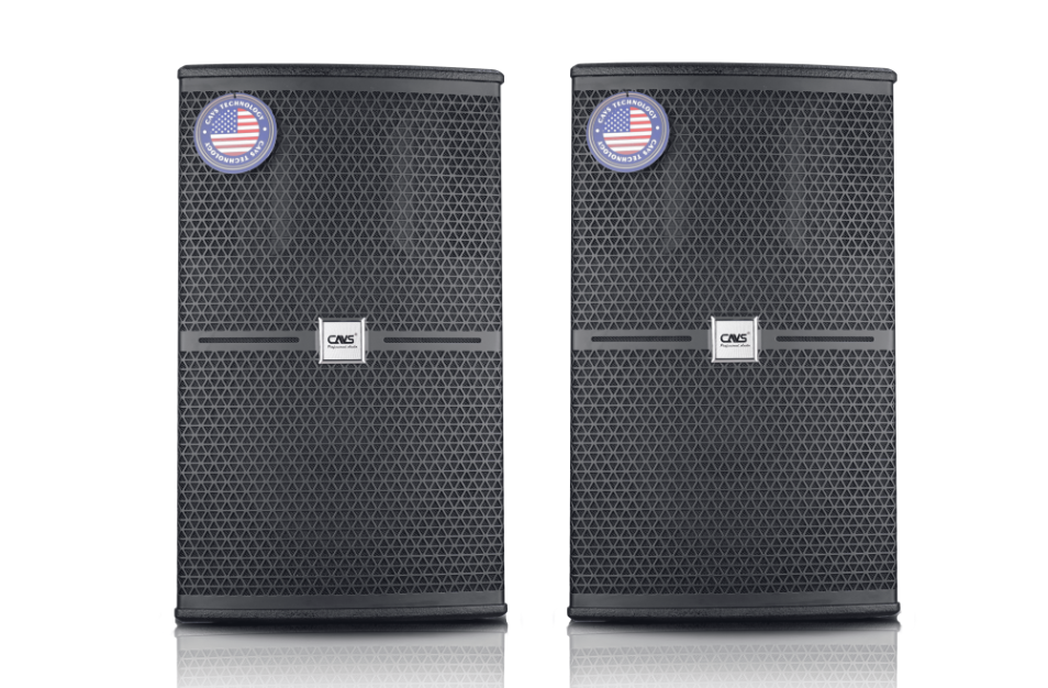 Ai nên mua Loa Full CAVS C12