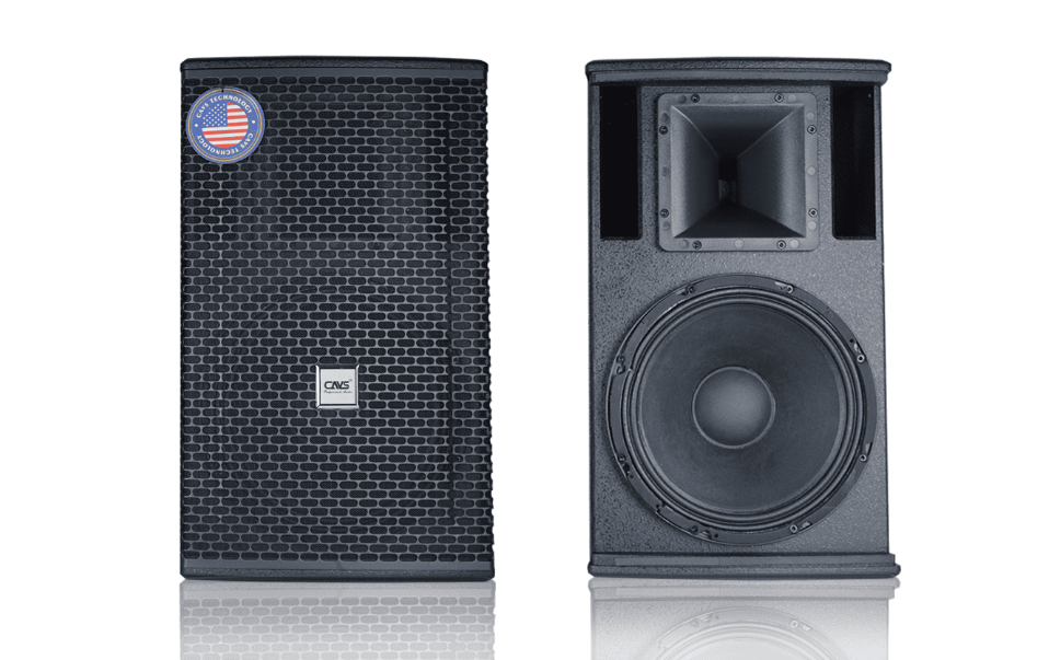 Ai nên mua Loa Full CAVS D12