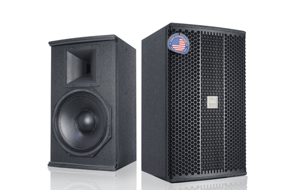 Loa Full CAVS M12 – Trải Nghiệm Âm Thanh Đỉnh Cao Cho Phòng Nghe Việt