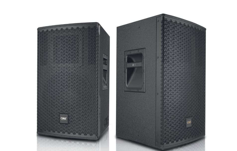 Ai nên mua Loa Full CAVS Z12