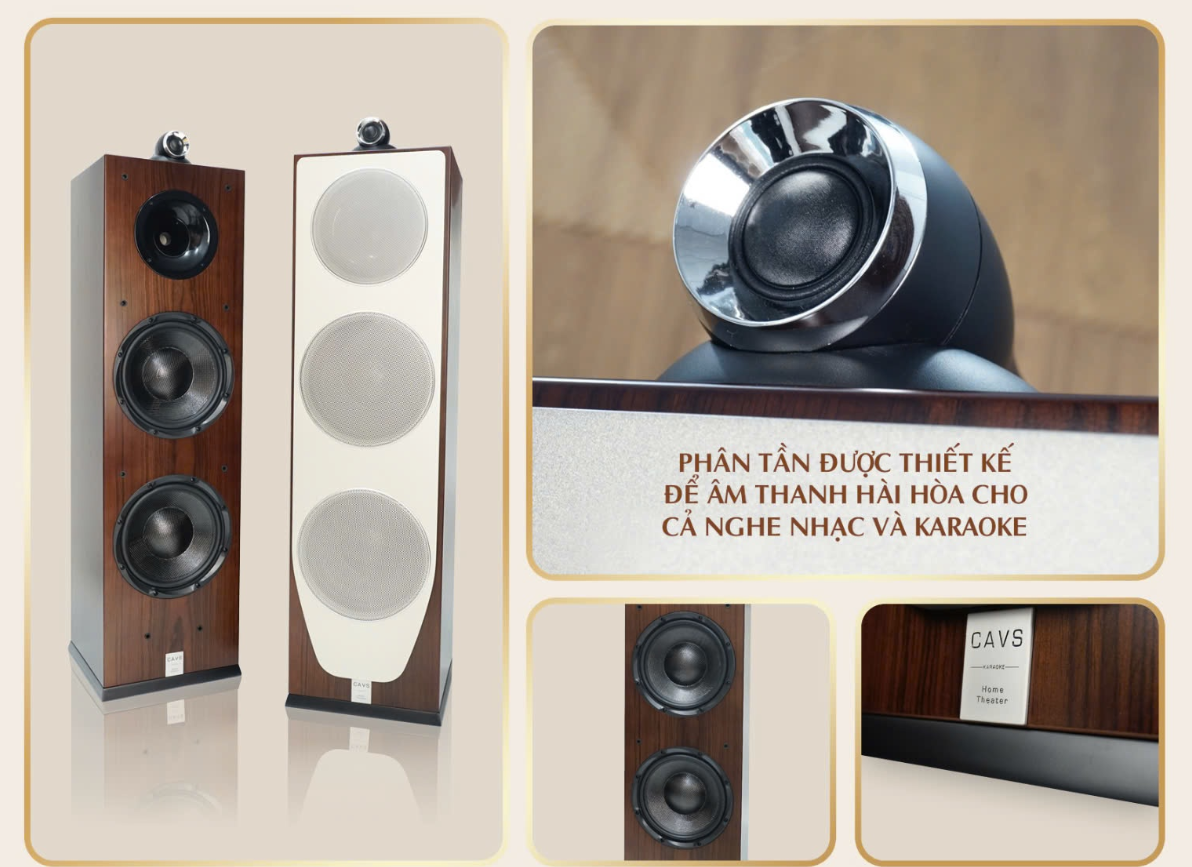 Trải nghiệm chất âm và tính năng Loa Hifi TL210