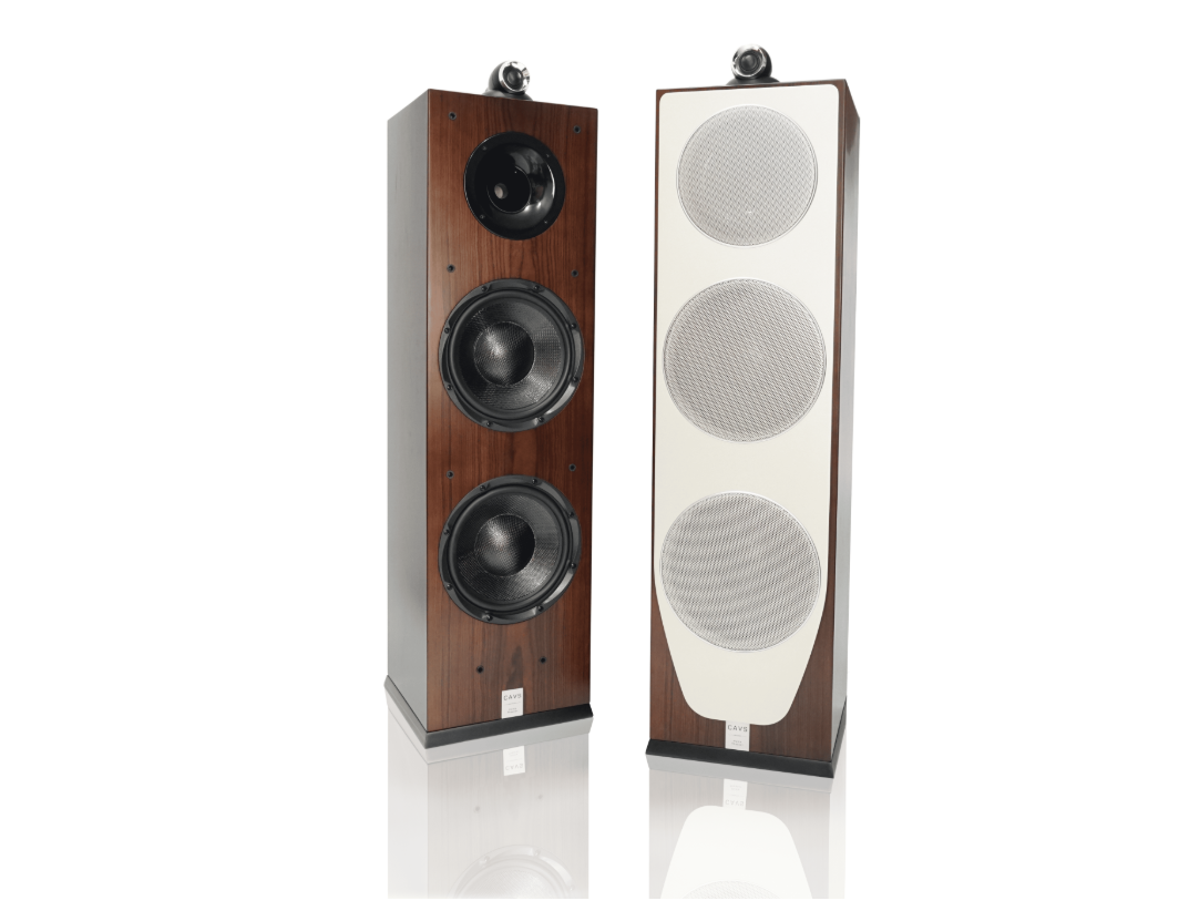 Ai nên mua Loa Hifi TL210