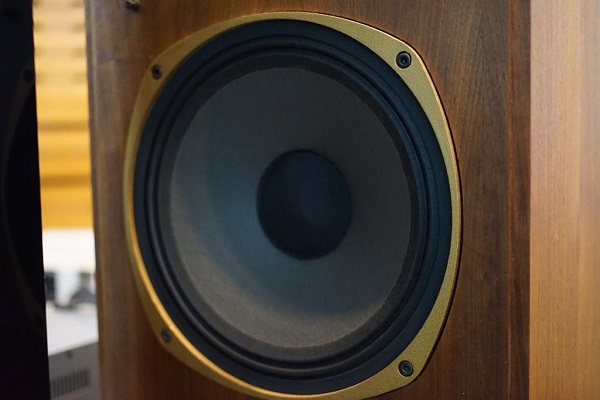Loa Impulse 15
