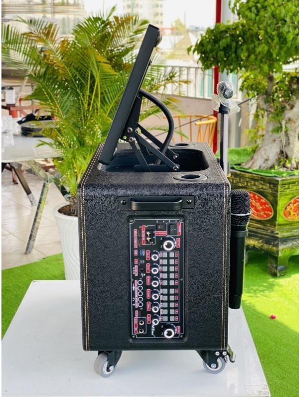 Loa MT MAX 261 Pro pin