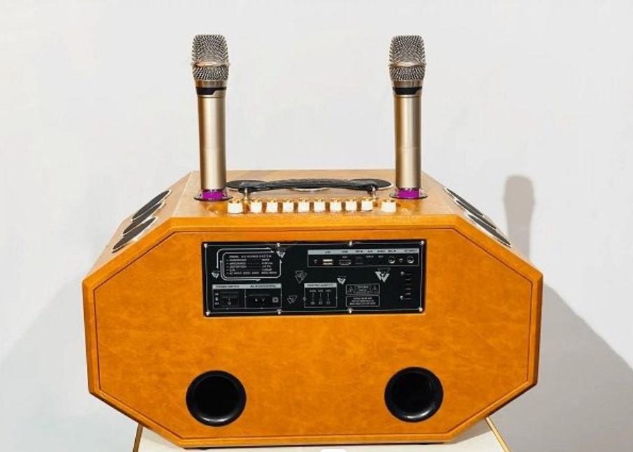 Loa Di Động MTMAX BT Speaker 18