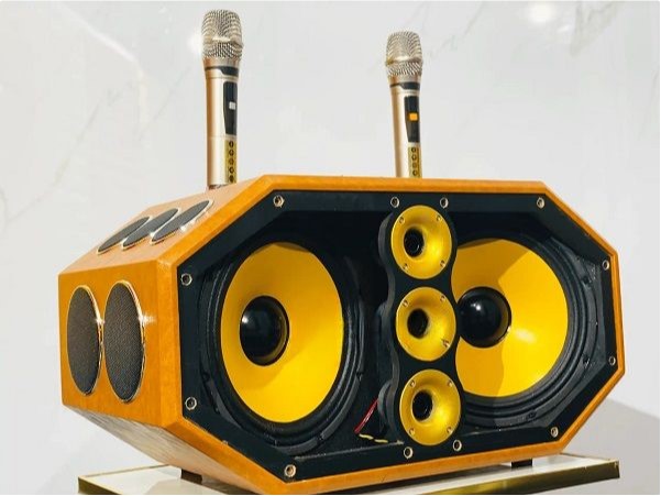 Review loa MTMAX BT Speaker 18