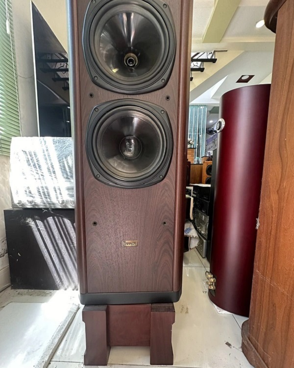 Loa Tannoy D500 - Công nghệ Dual Concentric