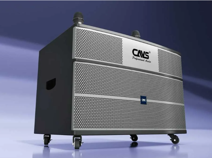Ai nên mua Loa kéo CAVS PA218
