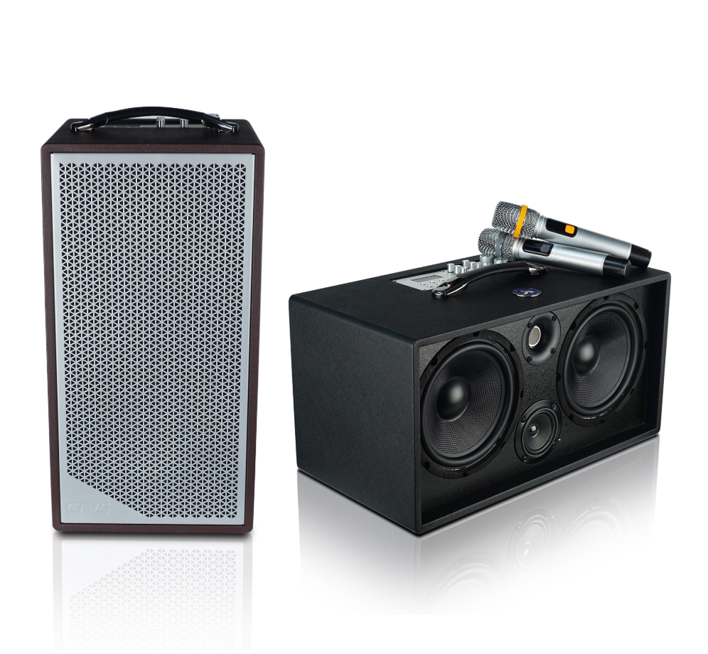 Ai nên mua Loa xách tay CAVS LUNO 28 phiên bản dọc 