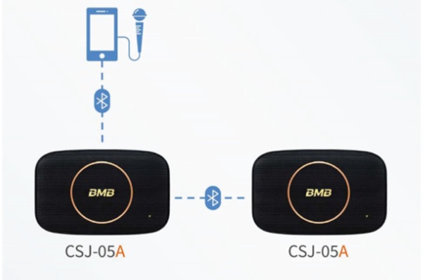 Mẹo Sử Dụng Loa BMB CSJ 05A