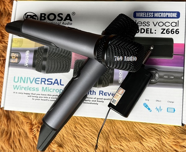 Micro Echo Bosa Z666