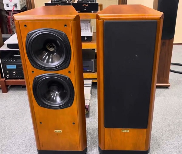 Mua Loa Tannoy D700 Ở Đâu