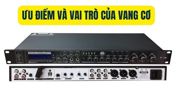 Nguyên Lý Hoạt Động Của Vang Cơ