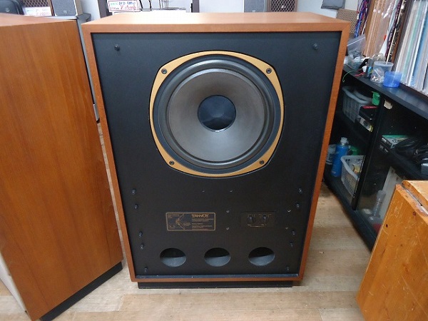 Nhược Điểm Của Loa Tannoy Arden MKII