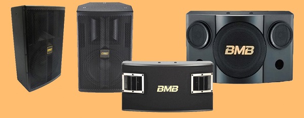 Nhu Cầu Sử Dụng Dàn Karaoke BMB