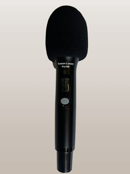 Đặc Điểm Nổi Bật Micro tạo vang Boston Luxury Pro 100