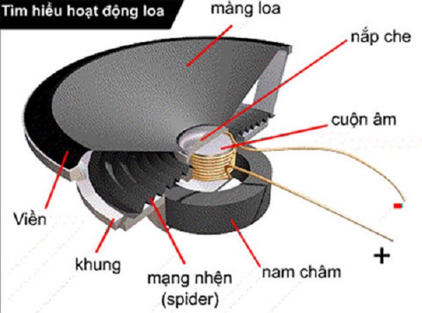 Phân Loại Củ Loa Theo Dải Tần
