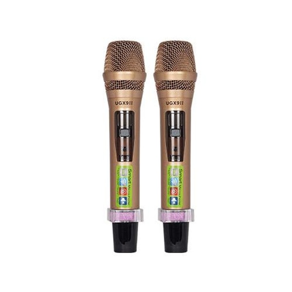 Phối Ghép Micro UGX 9 II