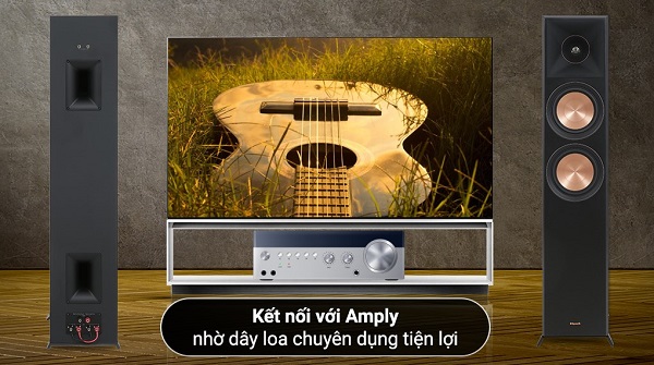 RP 6000F II Xem Phim