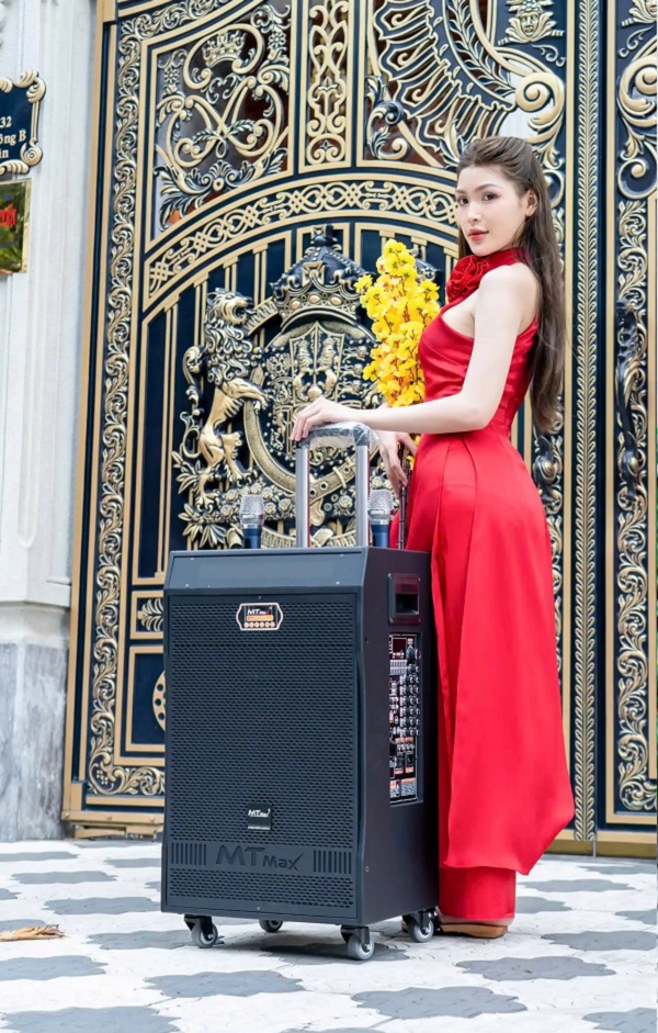 Review Loa Kéo MT 1003