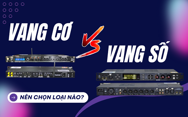So Sánh Chi Tiết Vang Cơ và Vang Số