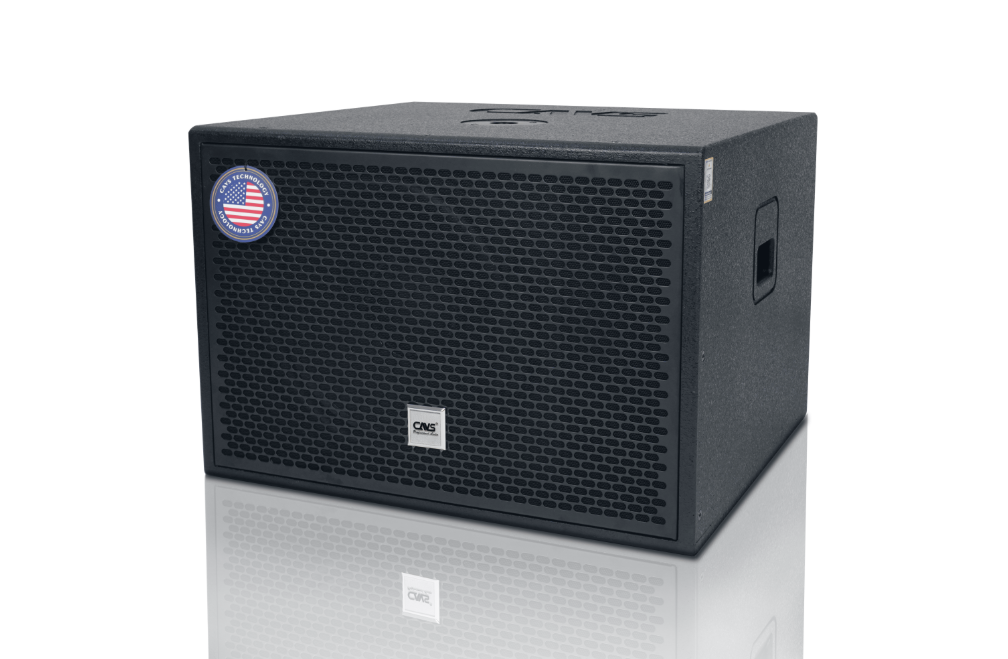 Ai nên mua Sub điện CAVS DS115 bass 40