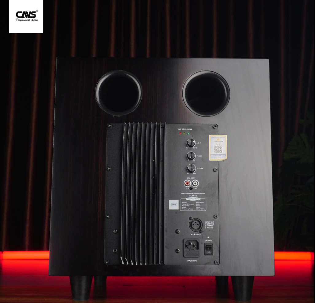 Ai nên mua Sub điện CAVS TLS12