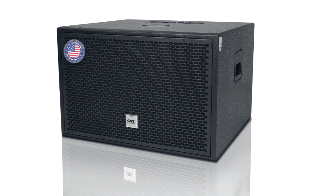 Ai nên mua Sub hơi CAVS DX115 bass 40