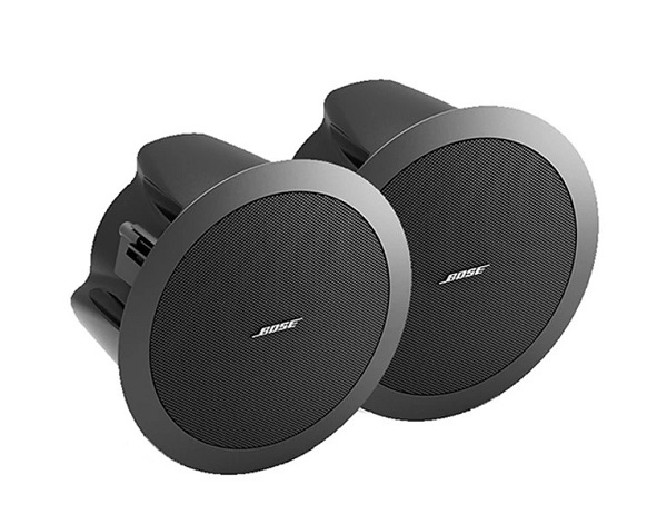 Nhận Biết Loa Bose FS2C Chính Hãng
