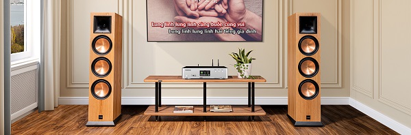 Hệ Thống Chống Rung Loa Paramax EURO 803 Classic