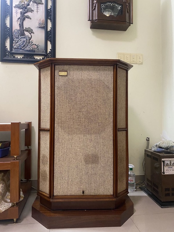 Tại Sao Đầu Tư Vào Loa Tannoy Memory RW Là Quyết Định Thông Minh
