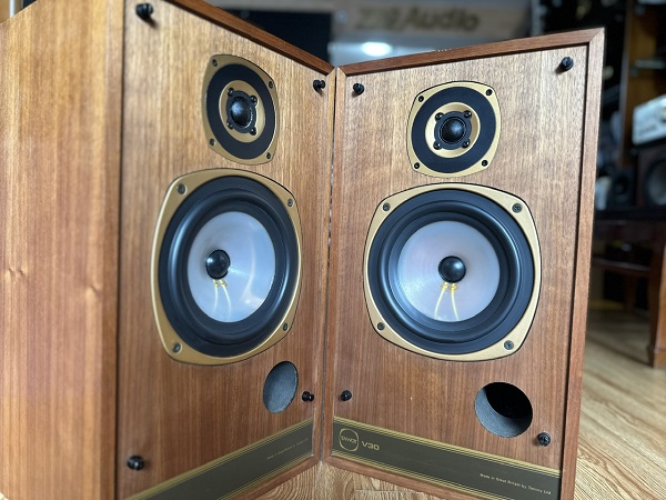 Loa Tannoy V30