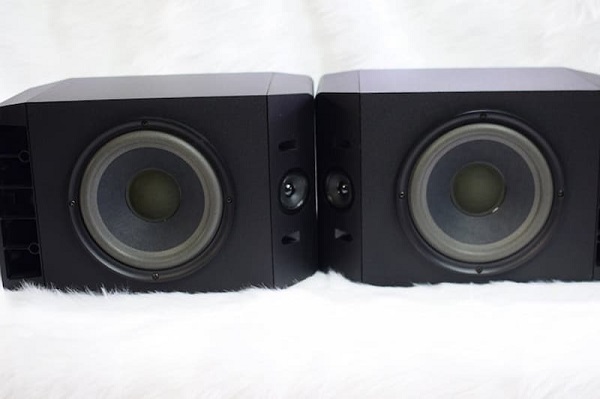 Tem Loa Bose 301 Series IV