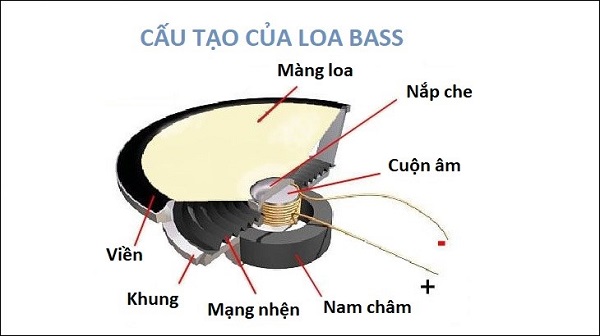 Thế Giới Vật Liệu Màng Loa