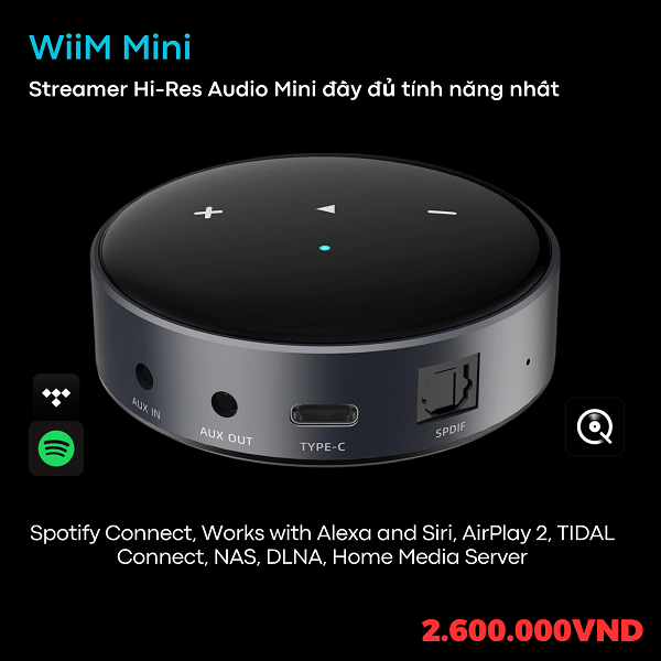Thiết Kế Network Player WiiM MiNi