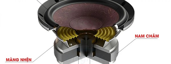 Vượt Ra Ngoài Dynamic Driver