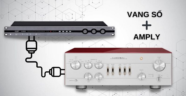 Vang Cơ vs. Vang Số vs. Amply