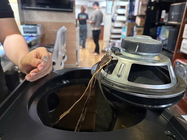 Bóng đèn loa bose  là vũ khí lợi hãy bảo vệ loa