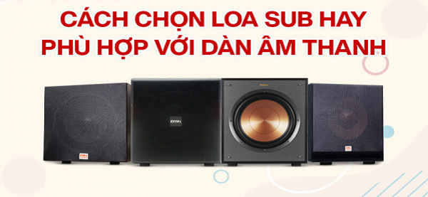 Cách Phối Ghép 2 Loa Sub Trong Cùng Một Hệ Thống