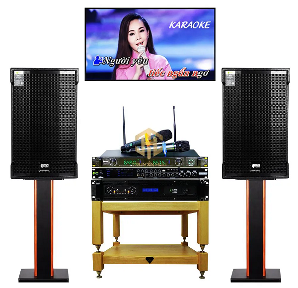 Những Thiết Bị Cơ Bản Của Dàn Karaoke Gia Đình