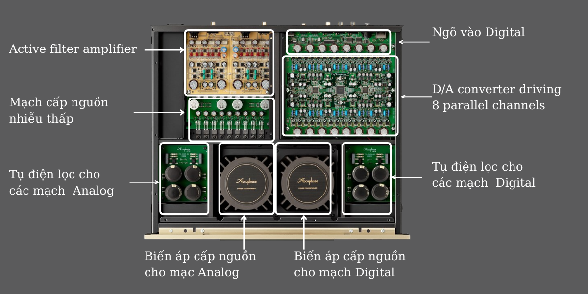 dau-cd-accuphase-dp-dc-1000-1