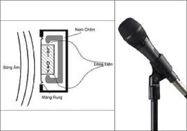 Kết Luận Proximity Effect Là Gì Trong Micro Không Dây  Karaoke