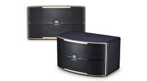 Rủi Ro Khi Sử Dụng Loa JBL Pasion 10 Không Chính Hãng