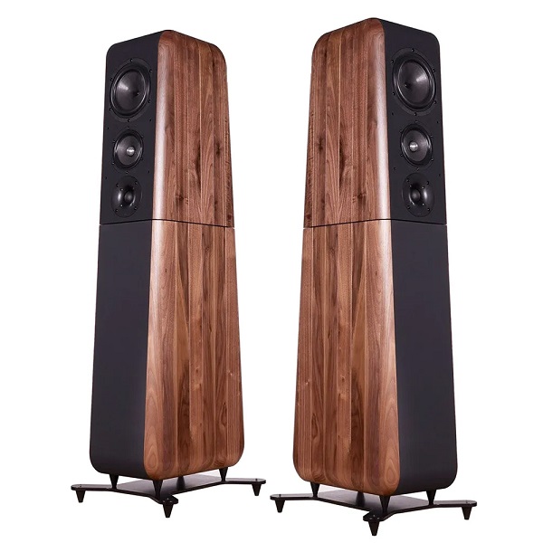 Loa Thông Thường - Sự Lựa Chọn Phổ Biến