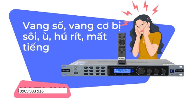 Nguyên Nhân Vang Số Bị Hú