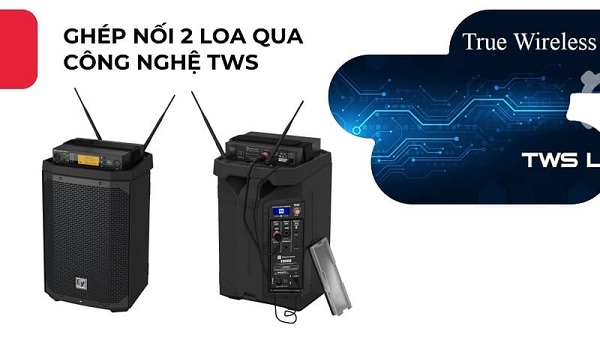 Phối Ghép Loa Electro Everse Voice 8